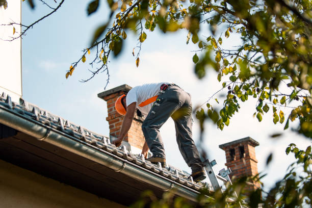 Best Gutter Installation and Roofing  in Belleville, PA